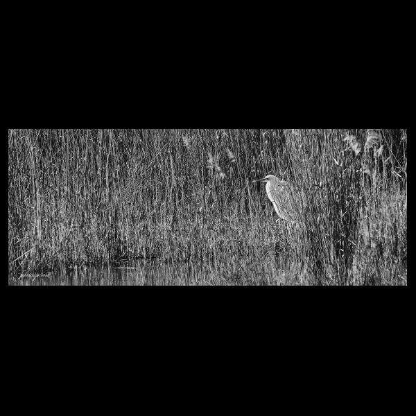 PHOTO84, CLUB, 84 , LUBERON